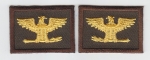 COL Colonel Eagles Birds MEDIUM GOLD on BROWN rank insignia collar lapel patches 1.75" LARGE